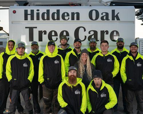 Hidden Oak Tree Care