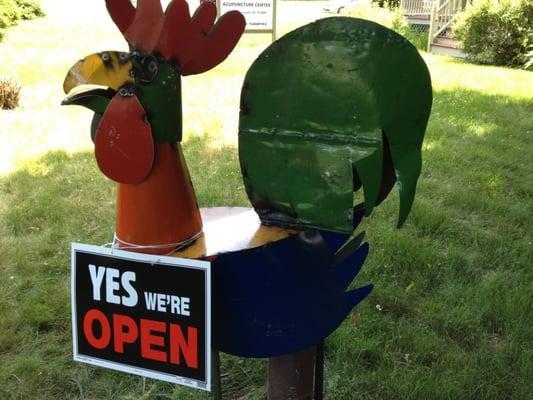 Our mascot, Harold the Rooster.