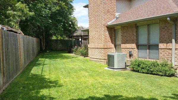 Lone Star Lawn & Tree Service