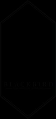 Blackbird Home Inspection & Consulting