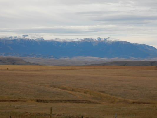 Carrie Klempel - ReMax