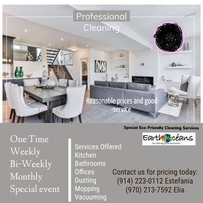 Ecco Home Essential cleaning service