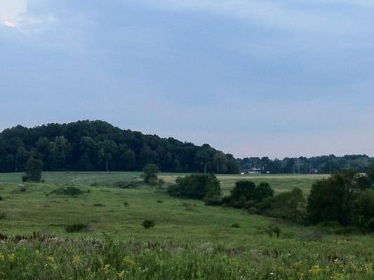 Tallmadge Meadow