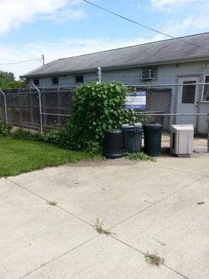 Oasis Animal Shelter