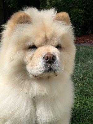 Atlantic Customhouse