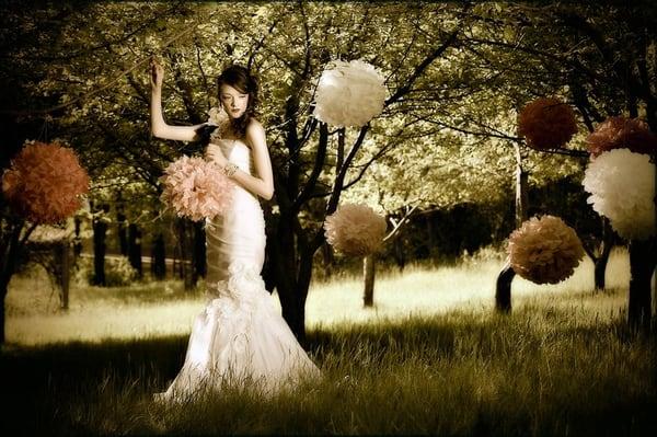 Shelly Mosman Photography