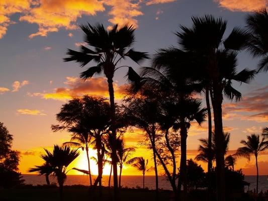 Sushi at your Paradise