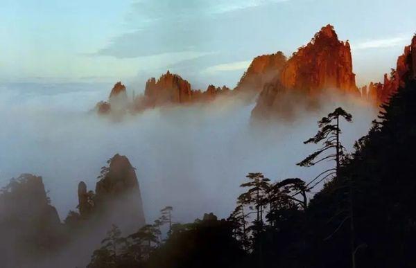 Vegas pacific express