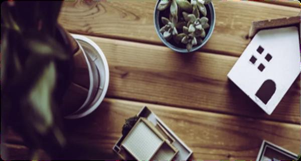 Steeplechase Ventures