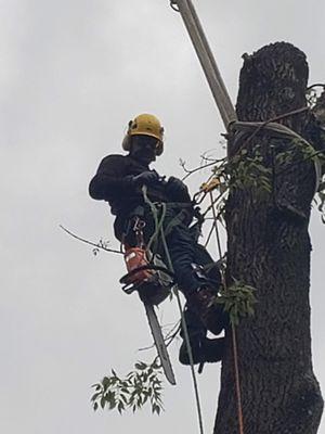 Freedom Outdoor Services