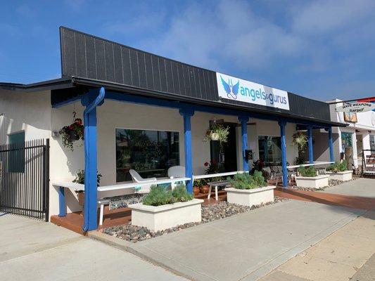 Angels & Gurus on historical 101