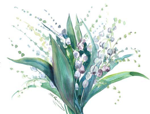 Lily of the Valley