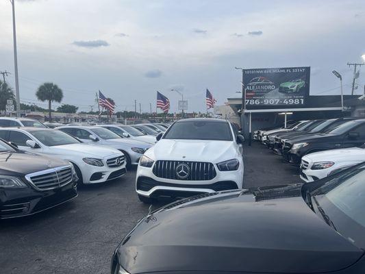 Alejandro Financial Dealership