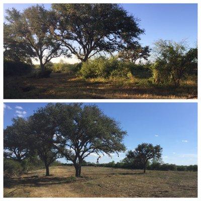 South Texas Land Clearing