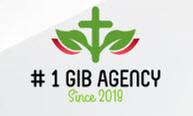 1GIB Agency