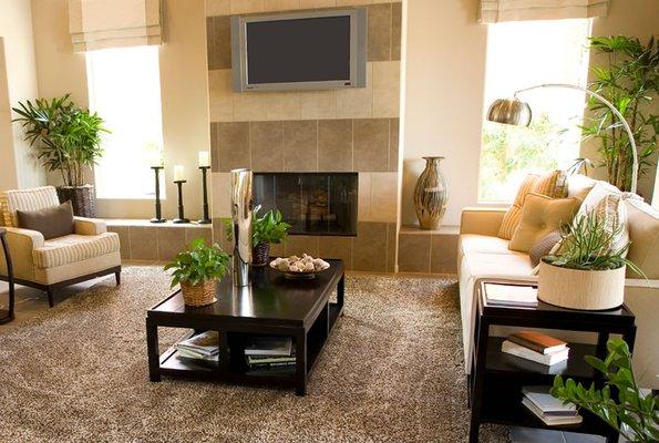 Platinum Cleaning and Maintenance