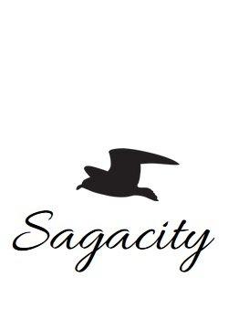 Sagacity Web Design