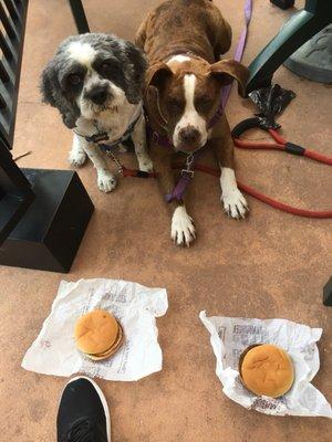 Infinity and Beyond Pet Care