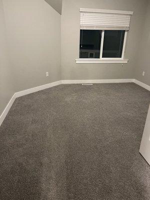 Forest Vista Cleaning