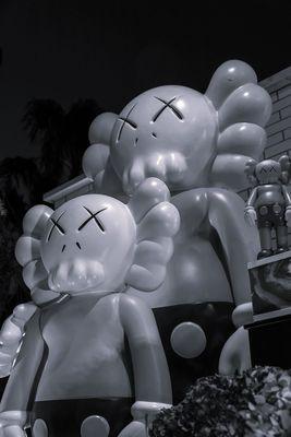 Iamginos Photography