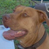 Photo of Charlie C.