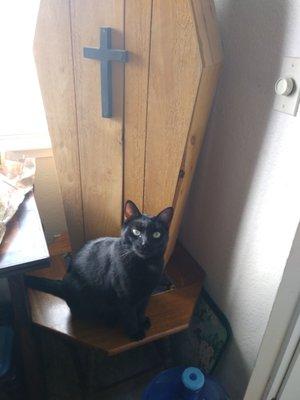 Photo of Kitty T.