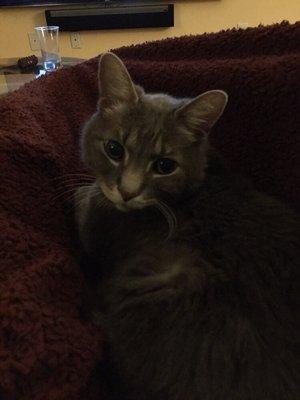 photo of Christen D.