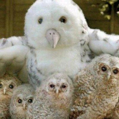 photo of Jeanetta K.