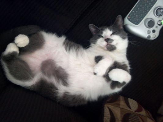 Photo of Teagan K.