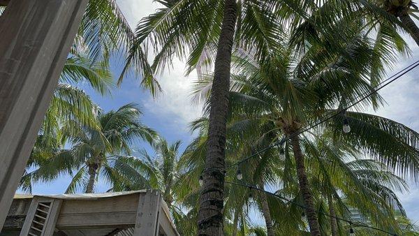 photo of Nick And Dee D.