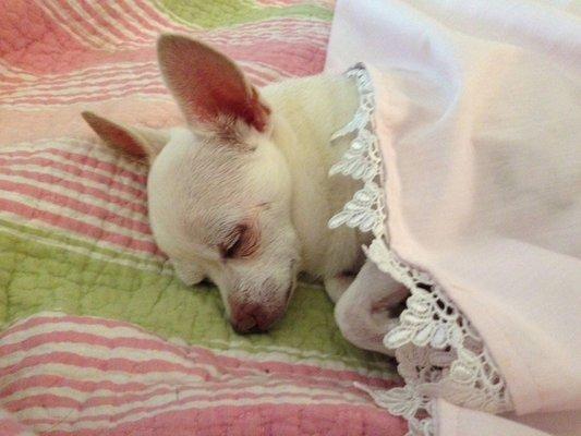 photo of Patricia C.