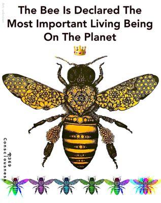 Photo of Jan-Ellen B.