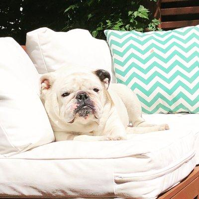 photo of Cleopatra G.