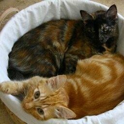 photo of Jennifer A.