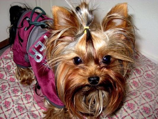 Photo of Bobbi B.