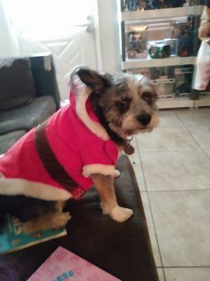 photo of Jennifer B.