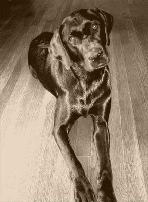 Photo of Julie C.