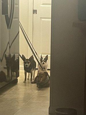 photo of Priscilla R.