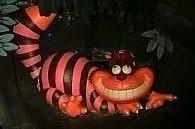 Photo of CheshireCat C.