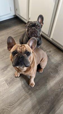 photo of Naneshka S.