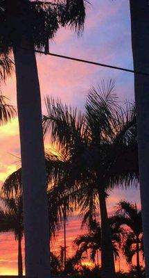 photo of Patricia L.