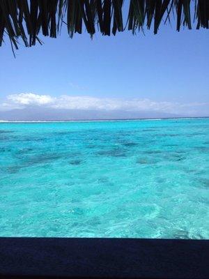 photo of Roadwarriorinheels Z.