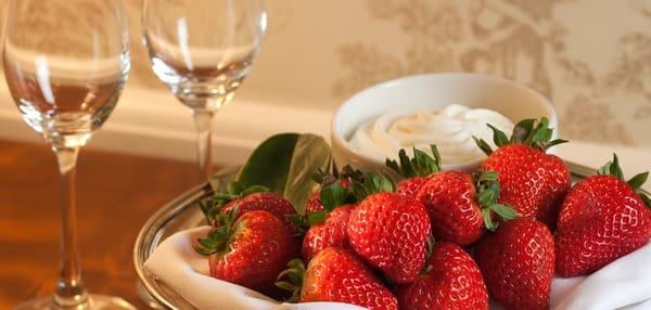 Photo of Freefinder N.