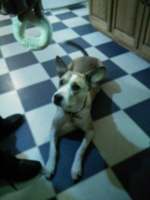 Photo of Kiki A.