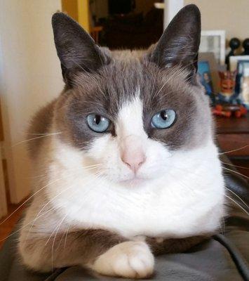 Photo of Wendel T.