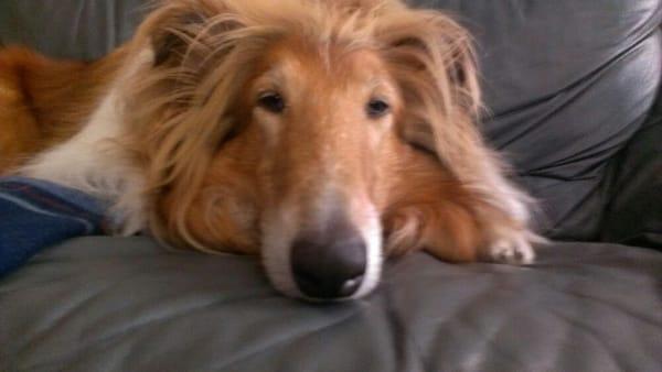 Photo of Alexandra C.