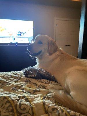 Photo of Creative F.