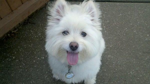 photo of Michelle C.