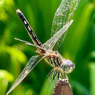 Photo of Michelle W.