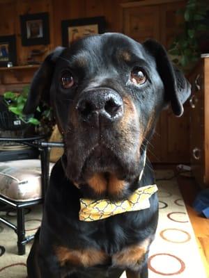 photo of Patricia B.